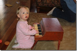 IMG_3649 IMG_3649