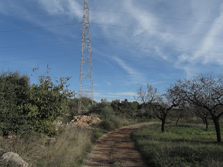 Prenafeta a Santes Creus GR-175 Ruta del Cister, al terme d'Aiguamúrcia i sota la línea alèctrica d'alta tensió