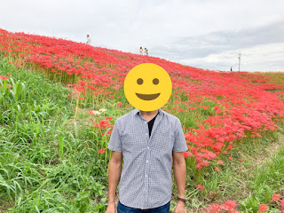 矢勝川の彼岸花 愛知県半田市