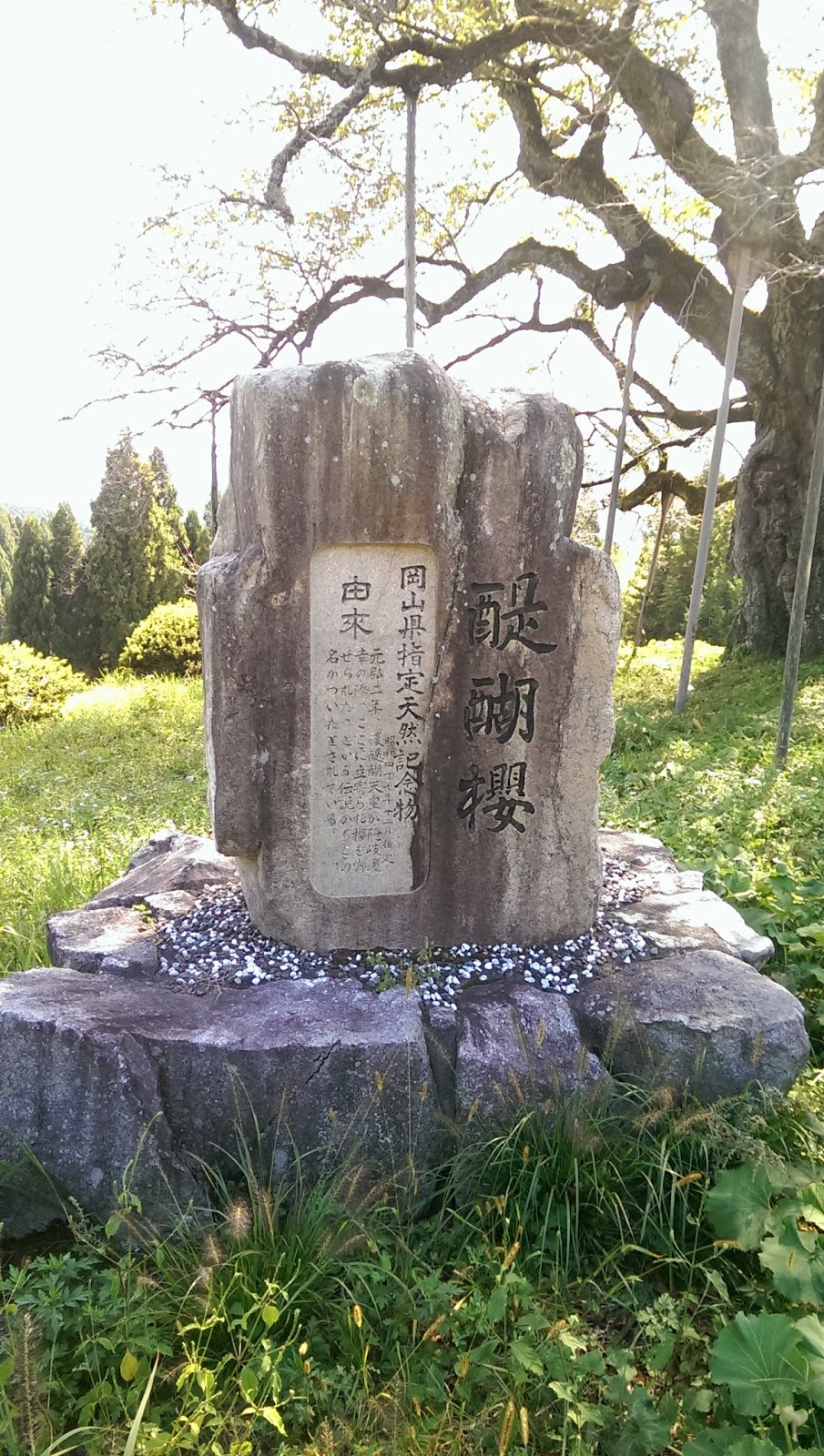 壯遊 一個人的日本重機環島流浪