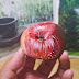 DIY Acrylic stock Apple，how to draw funny with stock, come to see my idea