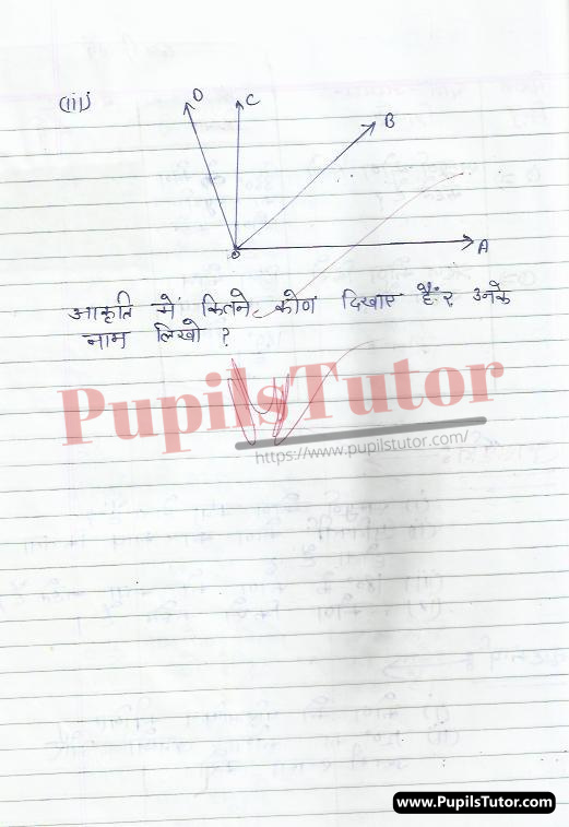 How To Make Mega Mathematics Lesson Plan In Hindi On Kon Evam Uske Prakar (Angle And Its Types) Topic | गणित विषय के लिए मेगा कोण एवं उसके प्रकार  पाठ योजना कैसे बनाएं? [Page And Image Number 6] – www.pupilstutor.com