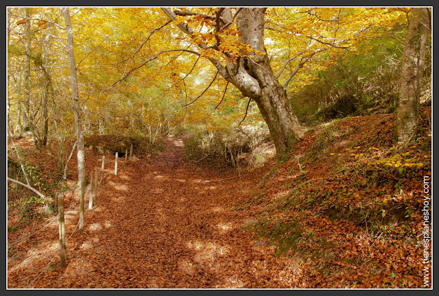 Paísaje de otoño: Nacedero del Urederra