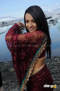 trisha  sexy hot photos