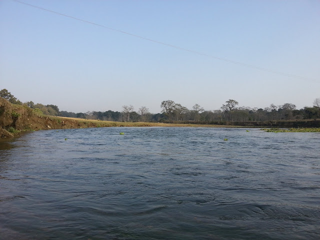 Natural Beauty of Chitwan National Park