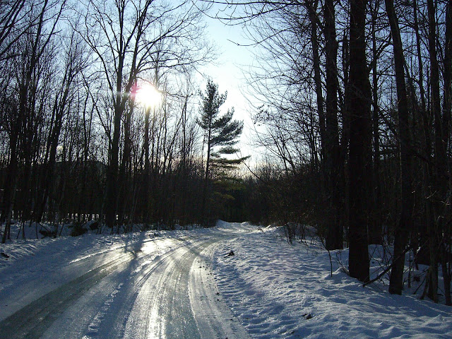 Icy road through the woods in New Hampshire.