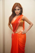 Sony Charista Glamorous in Saffron saree-thumbnail-26