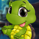 Play Games4King Funny Turtle E…