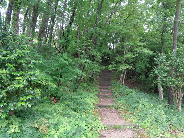 山道を登ります