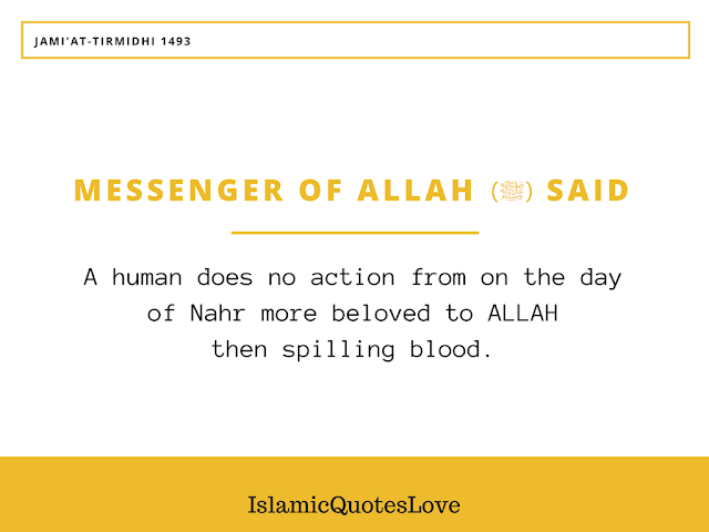Messenger of ALLAH (ﷺ) Said: A human does no action from on the day of Nahr more beloved to ALLAH then spilling blood. On the Day of judgement, it will appear with its horns, and hair, and hooves, and indeed the blood will be accepted by ALLAH from where it is received before it even falls upon earth, so let your heart delight in it.