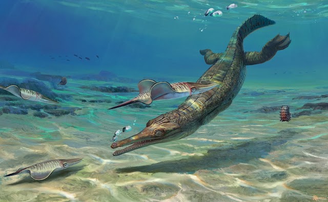 185 Million-year-old Sea Crocodile Fossil Found in the UK