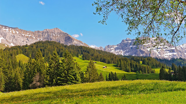 Switzerland Landscape Mountains Prairie Forest Trees HD Wallpaper