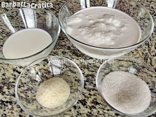 Panna cotta (budinca italieneasca) - toate ingredientele retetei