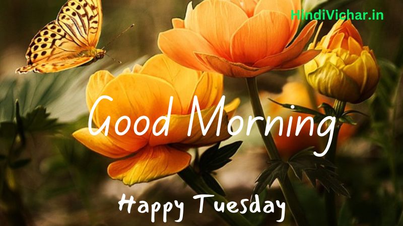 Tuesday Good Morning images