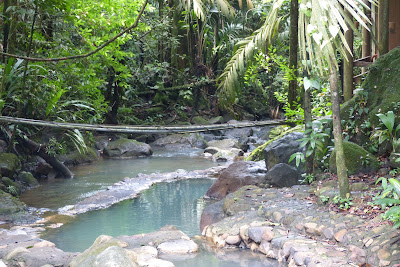 Termales del Bosque