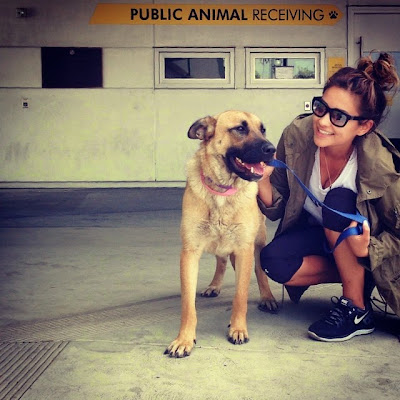 Shay Mitchell's Adopted Dog Angel