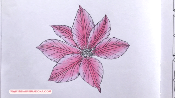 how to color clematis, adult coloring, adult coloring tutorial, coloring tutorial, flower coloring tutorial, coloring book, coloring for adult