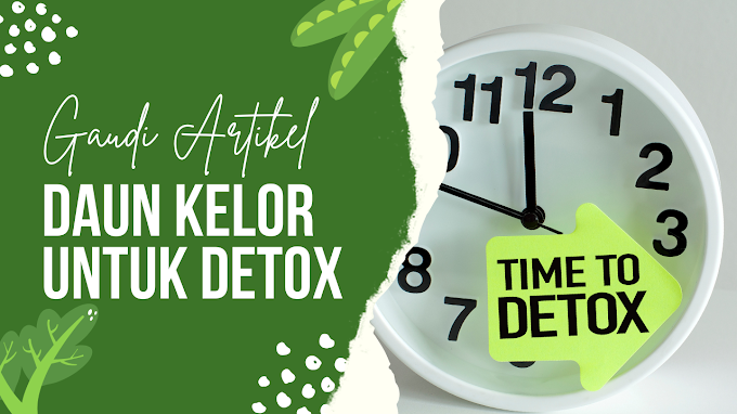 Resep Teh Daun Kelor: Minuman Sehat untuk Detoks Tubuh