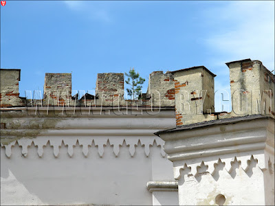 Fir-tree on Puslovski Palace