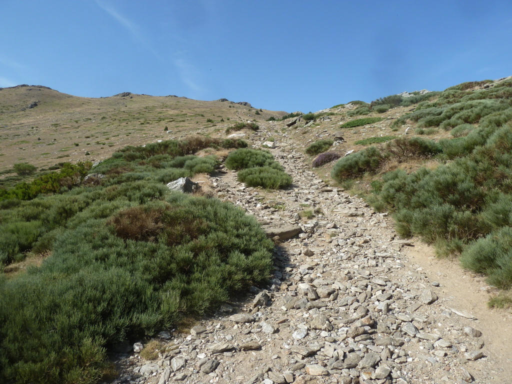 PICO DEL LOBO (2.274m) y Alto de las Mesas, 2.257m (La cúspi P1230724%20%28FILEminimizer%29