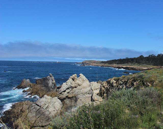 Point Lobos State Reserve, China Cove, nature photography