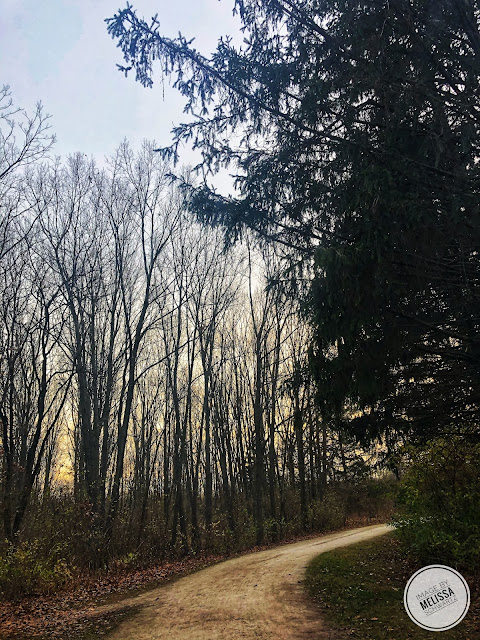 Evergreen and a golden sun warm the trails at Winfield Mounds.