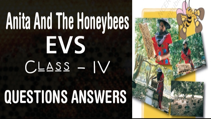 Anita And The Honeybees Class 4 EVS chapter 5 Questions Answers