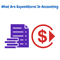 What Does Expenditure Mean In Accounting And What Are Its Types