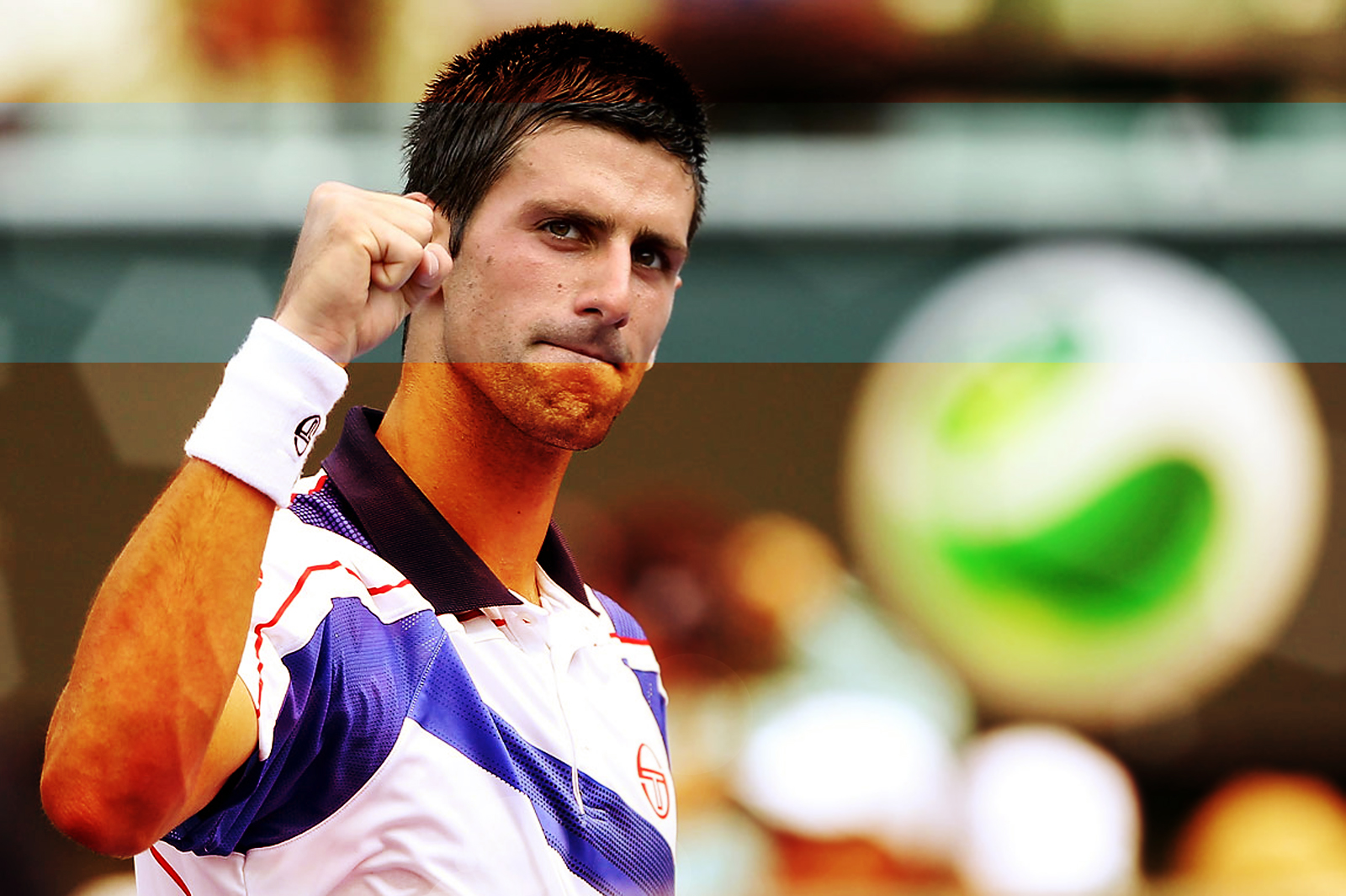 Tennis Player Novak Djokovic HD Wallpapers Download Free Wallpapers in ...