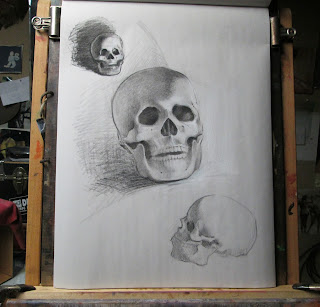 Anatomy; Skull; Bones; Art Anatomy; Art Reference; Anatomical Drawing