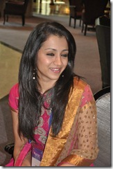 Trisha hot pics 45