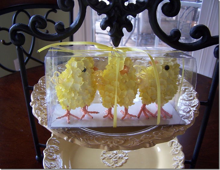 Chicks 002