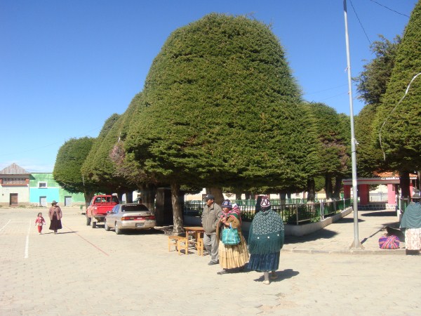 Carabuco: municipio paceño (Bolivia)