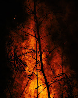 Wildfires (Photo courtesy Benjamin Lizardo, unspash.com)