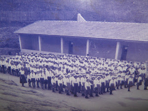 História Viva - 60 anos de escola