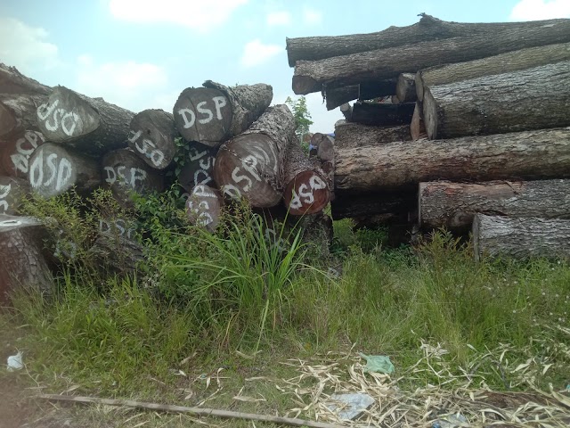 MENGAKU PEMILIK GUDANG KAYU, "B" USIR WARTAWAN DENGAN AROGAN