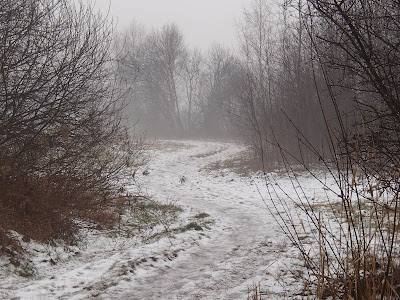 Koniec pierwszego śniegu, odwilż, marznąca mżawka, gołoledź łąki na Ruczaju, jazda na sankach, zimowy spacer