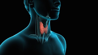 عملية استئصال الغدة الدرقية throidectomy 