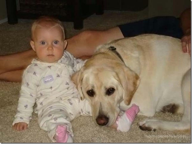 1 - niños con perros misimagenesdivertidas  (16)