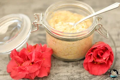 Moutarde à l’ancienne fait maison (pas à pas en photos)