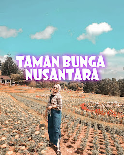 Menikmati Keindahan Taman Bunga Nusantara