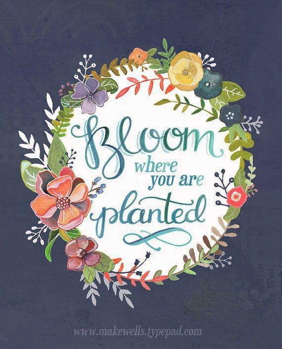 bloom where you are planted