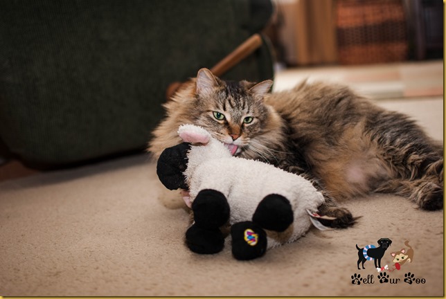 Matilda Kissing Lamby (©Bell Fur Zoo)
