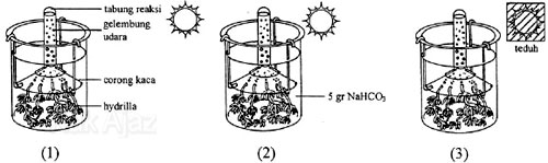 Gambar percobaan fotosintesis
