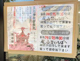 玉川神社例大祭の尾山台地区のお神輿の紹介です。