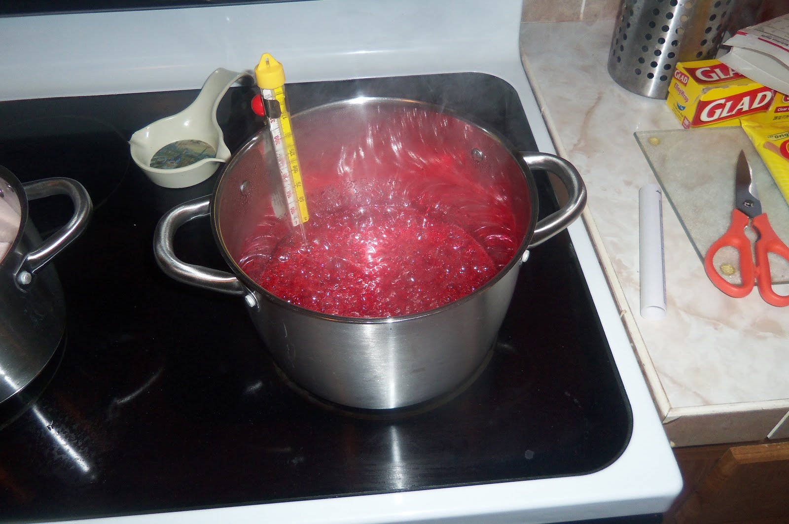 The Hawkins Family: Candy Apple How-To
