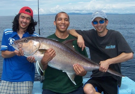 Amberjack Fish Images