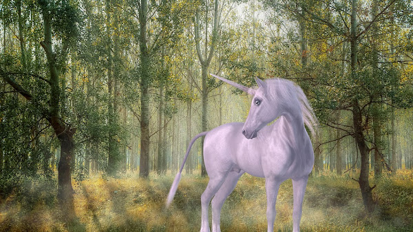 Image: Mystical Unicorn in the Forest, by SilviaP_Design on Pixabay