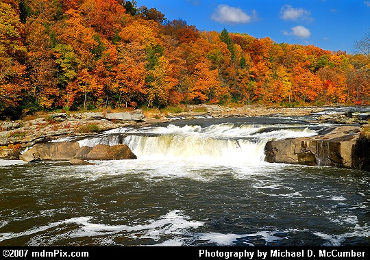 Autumn Glory7