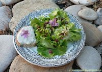 Salade aromatique